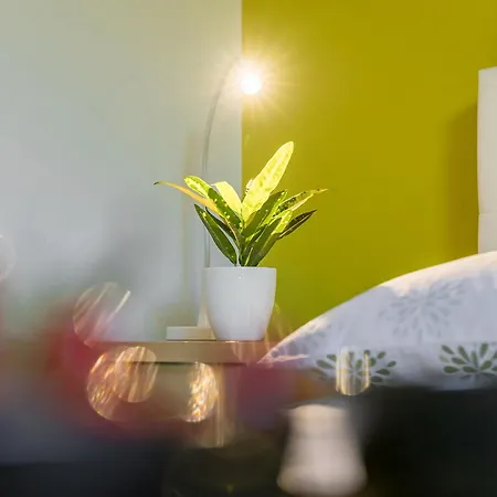 Spadici Luna Apartamento Poreč
